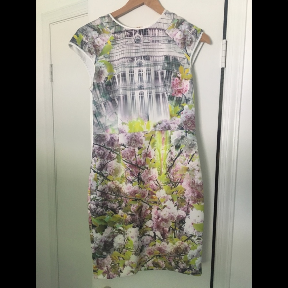 Ted Baker Floral Dress Sz 4-6 American/2 in TB